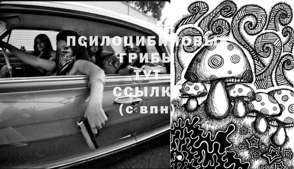 шишки Богородск